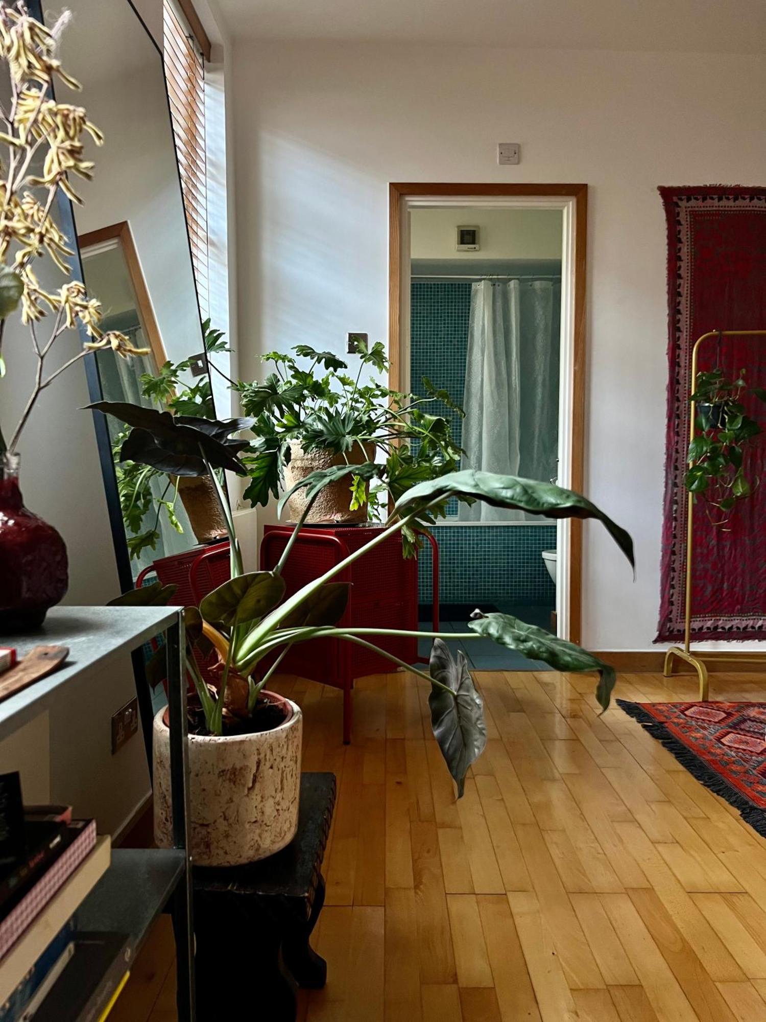 Huge Room For Recharge And Relaxation In Loft With Sauna In Central Londra Dış mekan fotoğraf