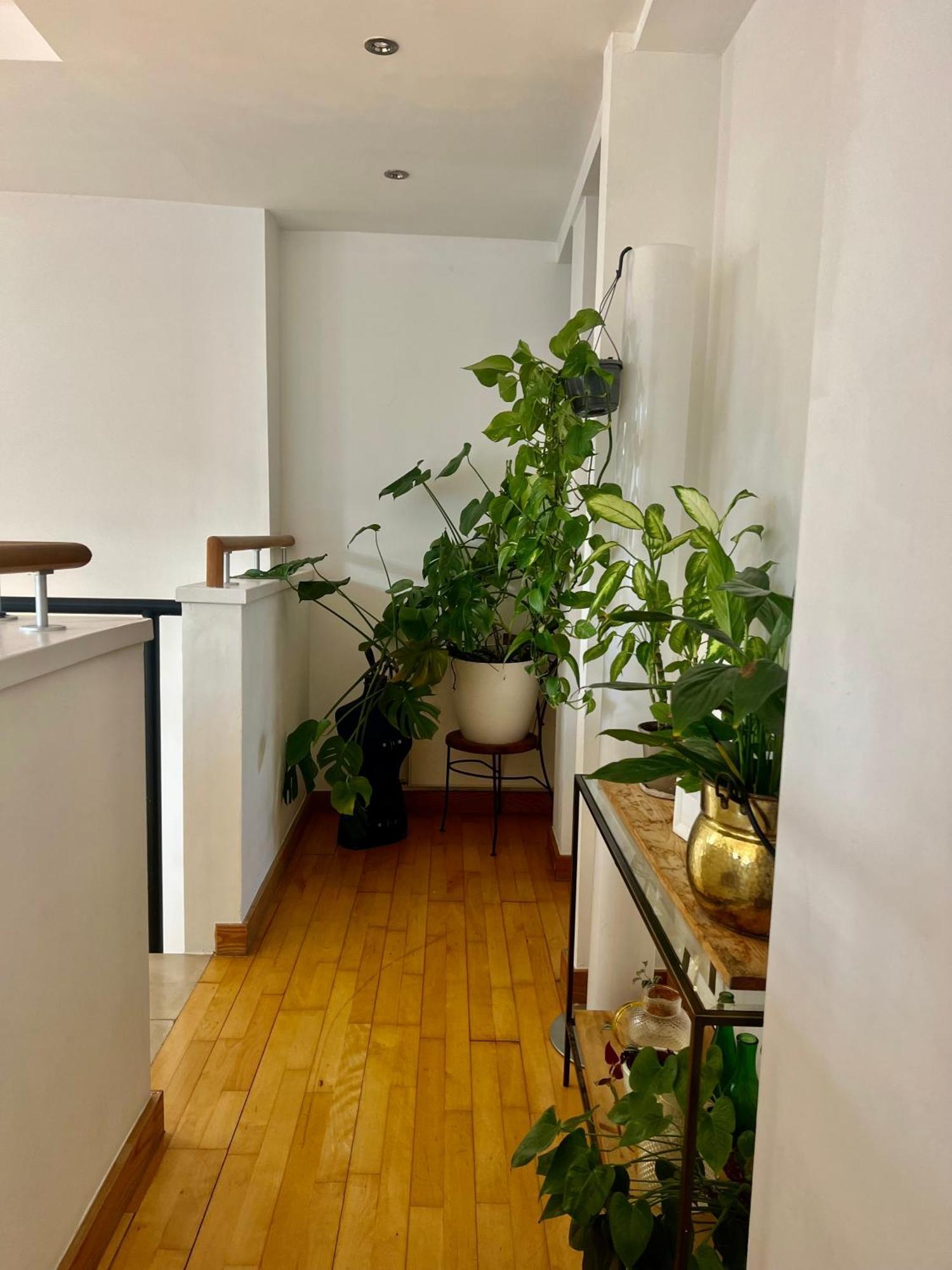 Huge Room For Recharge And Relaxation In Loft With Sauna In Central Londra Dış mekan fotoğraf